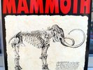 Mammoth 
