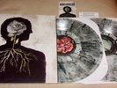 August Burns Red : Phantom Anthem LP (Limited Clear Black Smoke Colored Vinyl)
