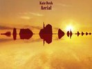 BUSH, Kate - Aerial (remastered) - Vinyl (2xLP)