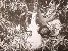 HUDSON, Keith - Flesh Of My Skin Blood Of My Blood - Vinyl (LP)
