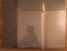 Sonic Youth Daydream Nation 4xLP Box Set / Sealed Vinyl Record Live Bonus New