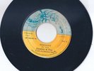 Charley & Fay Punnany/Version Charley Ace (72) JA VG+