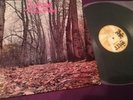 TWINK Think Pink 1970 French edition LP Pink Fairies