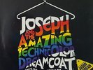 Andrew Lloyd Webber - Joseph And The Amazing Technicolor Dreamcoat [LP Vinyl] |N