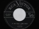 Blues 45 - Tampa Red - If She Don't Come Back - RCA Victor - mp3