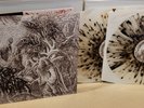 Nunslaughter - Devils Congeries Volume 1 2x LP