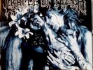 Cradle of Filth the principle of evil made flesh vinyl lp limited   Rare Color