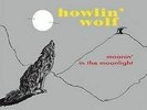 Moanin In The Moonlight (Picture Disc) - Howlin Wolf - Blues Vinyl