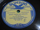 78 RPM, Bluebird 5322, Prairie Ramblers