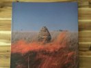Maccabees - Given To The Wild - Doppel-LP + CD - Firstpress 2011