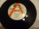 JOHN LEE HOOKER   -   I LOVE YOU HONEY   -    ( DEMO )  -   STATESIDE 341 (1964)