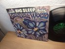 BIG SLEEP BLUEBELL WOOD 1971 MINT TOP RARE PROGRESSIVE