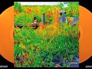 JHENE AIKO Trip 2xLP on ORANGE VINYL New SEALED Colored Jhené AIko