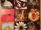 Fad Gadget, Danielle Dax, Cardiacs, Minimal Compact, Echo Bunnymen, Kissing Pink