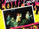 SEX PISTOLS - WINTERLAND CONCERT (SPDLP-3420) AWESOME QUALITY NEW DOUBLE LP 2LP