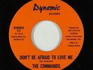 Northern Soul 45 - Commands - Don't Be Afraid To Love Me - Dynamic - VG+ mp3