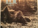 R.E.M.  MURMER  ORIGINAL 1983 DEBUT NEAR MINT CONDITION