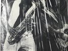 Bruce Springsteen - The Great White Boss - Live 2 LP 1978 VG+