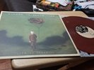 Hidden In Plain View - Life In Dreaming *Vinyl* LP Bronze Rose 1 Of 500
