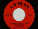 Northern Soul 45 - Icemen - (I Wonder) What It Takes - Samar - VG+ mp3