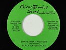 Funk Disco/Sweet Soul 45 - Black Experiences - Shake What You Got - Microtronics
