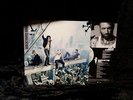 Backyard Babies: Same / Original - LP / OIS / 2008