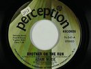 Crossover Soul Funk 45 - Adam Wade - Brother On The Run - Perception - mp3