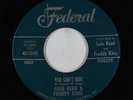 R&B Soul 45 - Lulu Reed & Freddy King - You Can't Hide - Federal - VG+ mp3