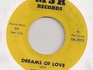 RODD ROGERS : Dreams Of Love (M.S.R. TM-2972) Song Poem 45