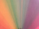 Edward Sharpe and the Magnetic Zeros s/t 2xLP sealed vinyl self-titled