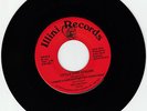 OBSCURE ILLINI RECORDS CHRISTMAS 45RPM,DINO STRUNK,