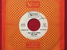 THE WILD ONES   WILD THING / JUST CAN'T CRY   RARE GARAGE ROCK PROMO 45 VG+