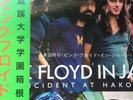 Pink Floyd ?– Pink Floyd In Japan - Incident At Hakone 2 LP