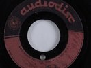 Rockabilly 45 UNKNOWN ARTIST Down In The Willow Garden AUDIODISC acetate HEAR