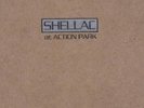 Shellac - At Action Park  Vinyl LP  10 Tracks Alternative Rock & Pop  Neuware