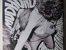 MUDHONEY 'Superfuzz Bigmuff' Vinyl LP NEW & SEALED