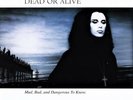 DEAD OR ALIVE Mad, Bad And Dangerous To Know LTD Vinyl LP NEW & SEALED MOV