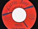 Rare Garage Rock   Lion And The Leprechauns : Mouse Trap   Little Fort 45 1966
