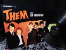 BEAUT 1965 THEM   VAN MORRISON GLORIA Garage Fuzz Punk Howling Snarl MYSTIC EYES