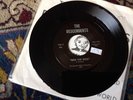Descendents ride the wild 45 all punk hardcore