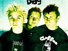 Green Day - Mud Fighting In Woodstock VINYL LP WLVR013