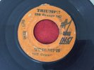WINSTON WRIGHT/BULL RUSH & I HAVE CHANGE INST BOSS REGGAE 45 BLANK