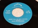 RARE NEW ORLEANS 45 DAVE RICHARDSON 