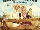 TWO BIRDS, ONE STONE [12/7] NEW VINYL