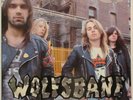 WOLFSBANE Live Fast, Die Fast 1989 US Debut British METAL LP Minty  Rick RUBIN