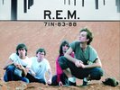 Vinyl Box - R.E.M. - 7 IN - 83-88 - 7- inch - 11 Singles - Limited Edition