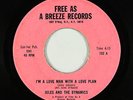Funk/Deep Soul 45 - Jules & The Dynamics - I'm A Love Man - Free As A Breeze mp3