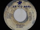 Rap Boogie/Modern Outsider 45 - Breeze - Breeze Rap - Blue Rose - mp3 - rare
