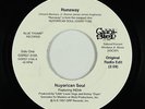 Modern Soul Disco 45 - Nuyorican Soul - Runaway - Giant Step - VG+ mp3