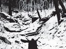 Demoncy ?- Within The Sylvan Realms Of Frost LP w/ Poster Black Vinyl - METAL